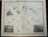 Reptiles of the World Snakes Turtles Lizards World Map 1856 Blackwood map