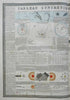 Astronomy Eclipses Lunar Phases c. 1830's Brue large detailed print hand color