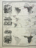 Animals of the World Monkeys Elephants Hippos Rhinos 1856 Blackwood map