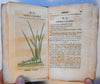 Medical flora Botany Botanical book 1828 Phila. by Rafinesque 50 color plant plates