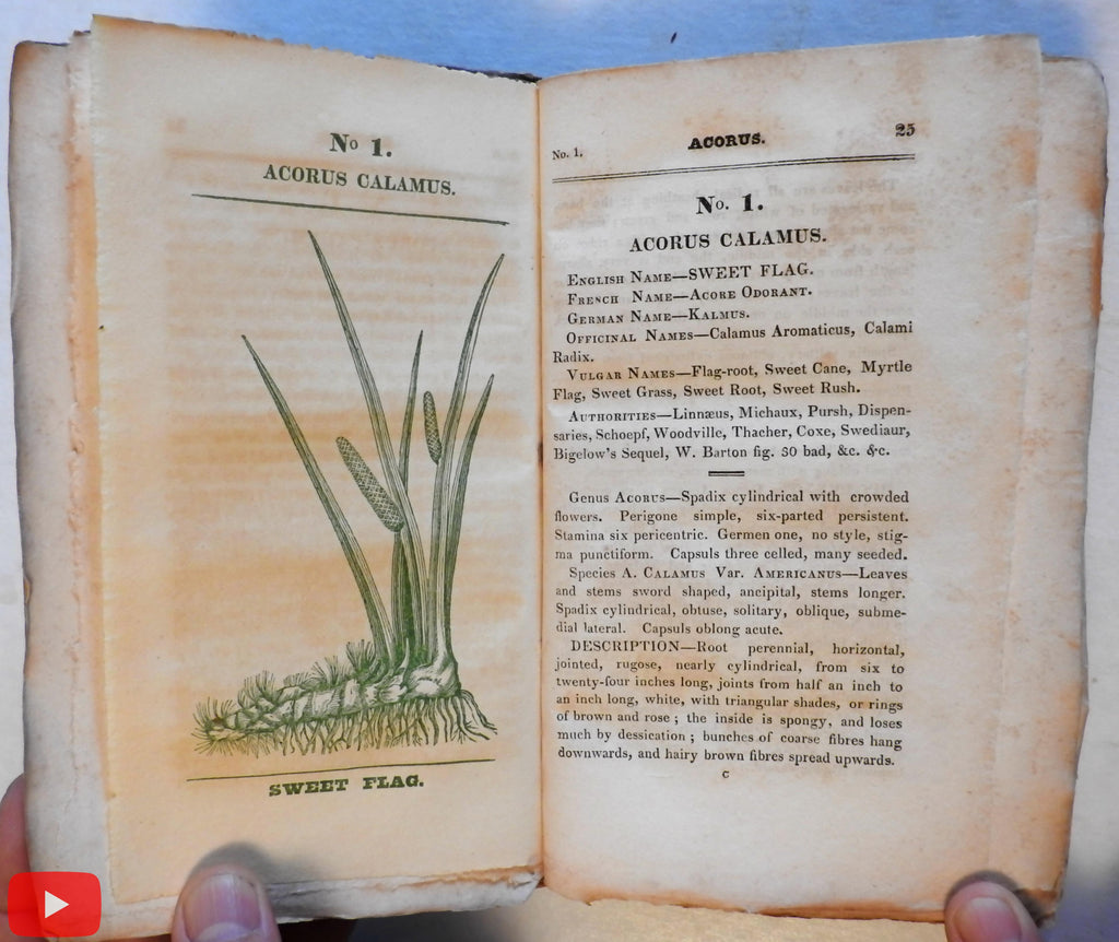 Medical flora Botany Botanical book 1828 Phila. by Rafinesque 50 color plant plates