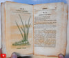 Medical flora Botany Botanical book 1828 Phila. by Rafinesque 50 color plant plates