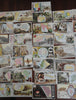 Cartographic trade cards c.1880's lot of 50 Arbuckle coffee world geography