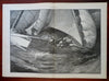 Bicycle & Sailing Races 1885 Harper's newspaper nautical Puritan Mikado Nast art