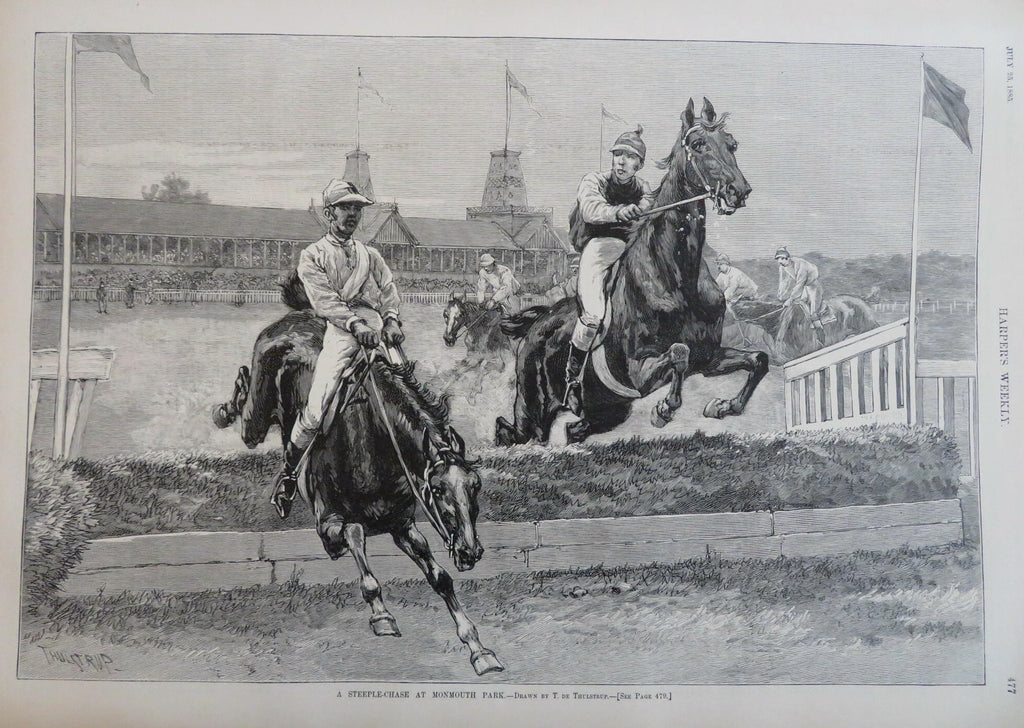 Manhattan Beach Fireworks steeplechase 1885 Harper's Gilded Age newspaper issue