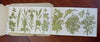 Decalcomanie Collection Crafting gold Decals Transfers c. 1870's arts booklet
