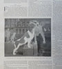 Dreyfus Affair Los Angeles Oil Field Harper's newspaper 1899 complete issue