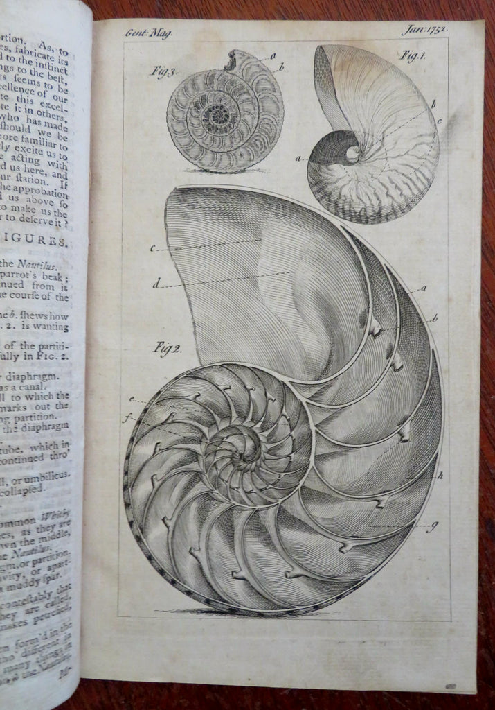 Nautilus shell Danish Golden Horn Windmills Taxes 1752 London mag. full issue