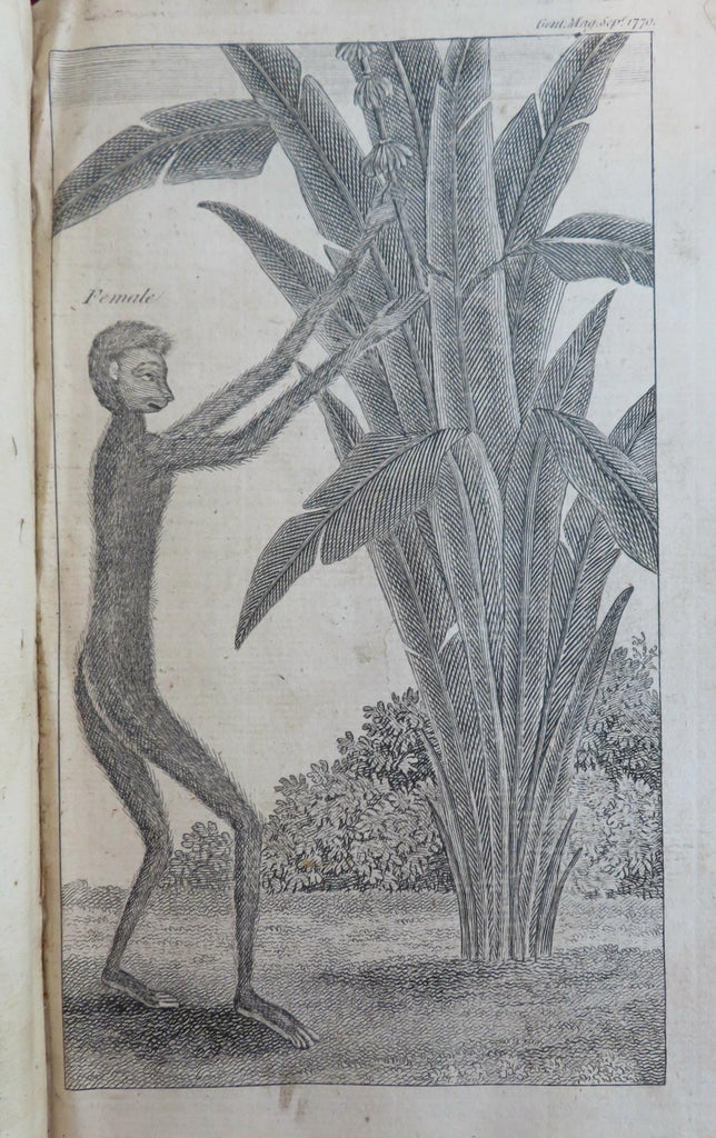 American Philad. Debates 1770 Murder Voyages Longitude Infections London mag.