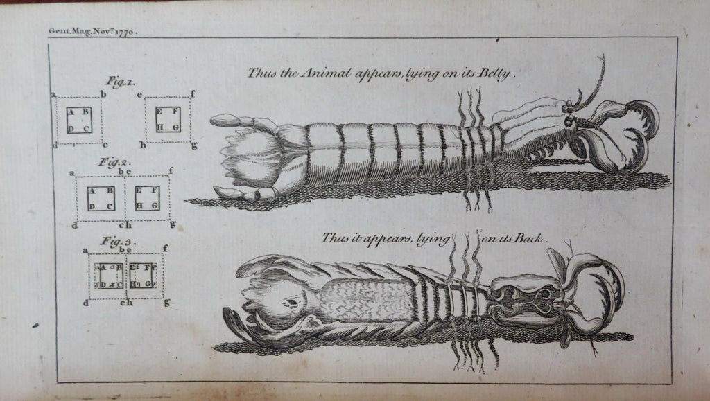 Insects American Affairs Junius Sailor Hardships Nov 1770 London mag. full issue