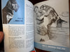 Dog Ownership Lot of Nine 20th Century American Pamphlets Training Advertising