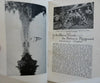 In the Maine Woods Sportsman's Guide 1921 illustrated book w/ large RR map