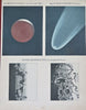 Astronomy Comets Lunar Surface Night Sky Constellations Zodiac Lot x 2 prints