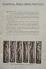 Galloway Terra-Cotta Company Pottery planting lawns c. 1920's garden catalogue