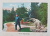 Busch Gardens Pasadena California Souvenir Album c. 1910 pictorial keepsake book