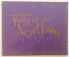 New York City Manhattan Street Scenes Architectural Views c. 1905 souvenir album
