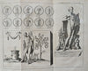 Roman Medals & Coins Numismatics c. 1770 Lot x 15 Humblot engraved prints