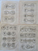 Roman Medals & Coins Numismatics c. 1770 Lot x 15 Humblot engraved prints