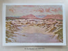 South Africa Landscape Views & Poetry Collection c 1910 pictorial book 12 plates