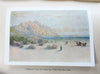 South Africa Landscape Views & Poetry Collection c 1910 pictorial book 12 plates