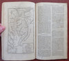 Maryland & Delaware Mason/ Dixon Map Ibix Bird Print 1769 London mag. full issue