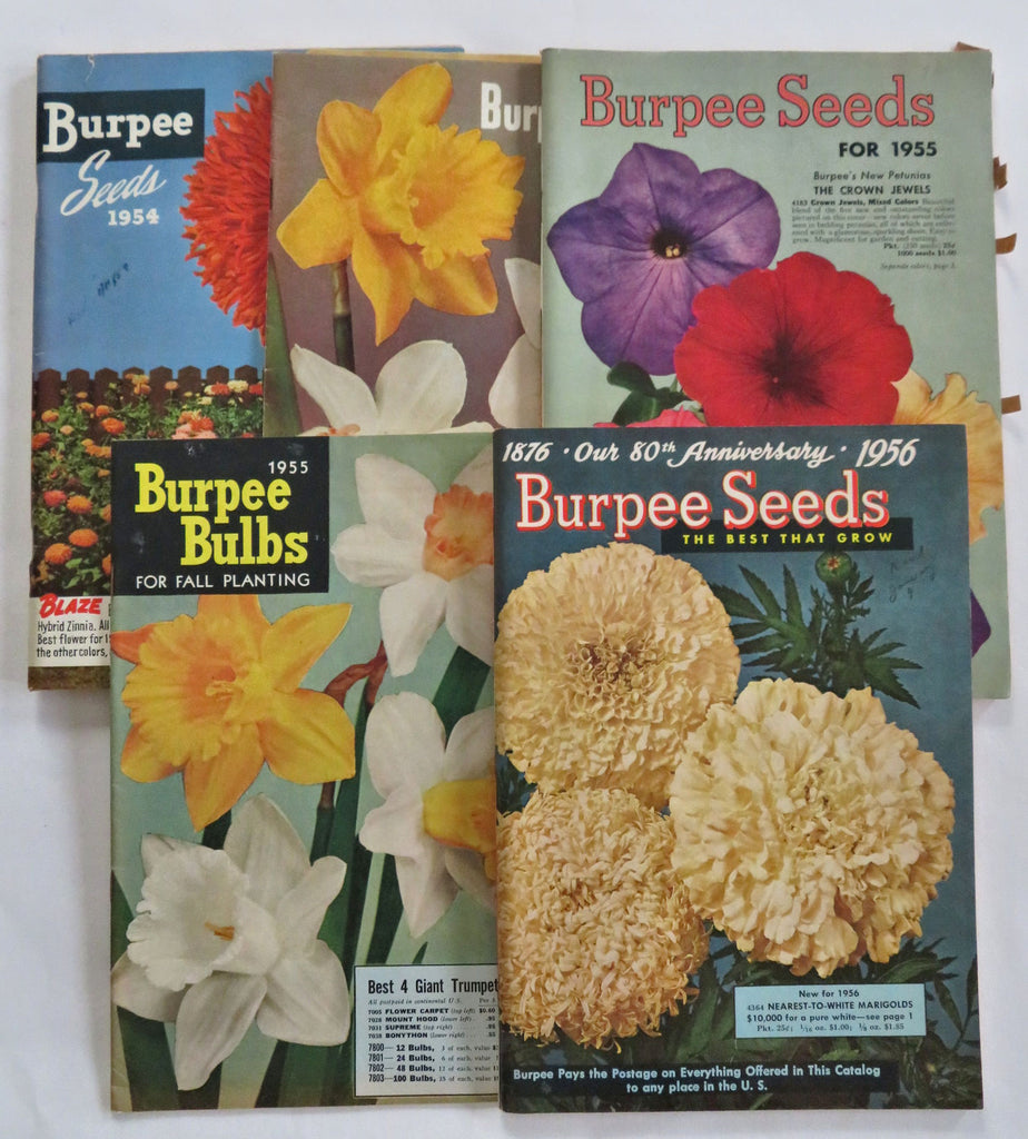Burpee Seed Catalogs Lot x 5 Gardening Supplies 1953-56 pictorial catalogs