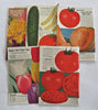 Burpee Seed Catalogs Lot x 5 Gardening Supplies 1953-56 pictorial catalogs