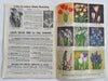 Burpee Seed Catalogs Lot x 5 Gardening Supplies 1953-56 pictorial catalogs