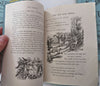 The Nursery 1878-9 Juvenile Reading Primer Magazine Lot x 13 pictorial magazines