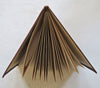 Rhine River Germany Tourist Keepsake c. 1890 pictorial souvenir view album