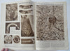 Hindenburg Flight Memoir Queen Mary Tornado 1936 rare UK Illustrated magazine