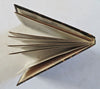 Rhine River Tourist Keepsake Germany Landscape Views c.1880's pictorial album