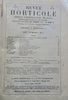Horticultural Review 1911 Botanical Journal 24 color litho plates flowers fruits