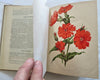 Horticultural Review 1911 Botanical Journal 24 color litho plates flowers fruits