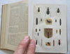 Horticultural Review 1911 Botanical Journal 24 color litho plates flowers fruits