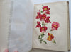Horticultural Review 1911 Botanical Journal 24 color litho plates flowers fruits