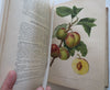 Horticultural Review 1911 Botanical Journal 24 color litho plates flowers fruits