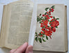 Horticultural Review 1911 Botanical Journal 24 color litho plates flowers fruits