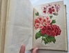 Horticultural Review 1911 Botanical Journal 24 color litho plates flowers fruits
