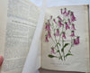 Horticultural Review 1911 Botanical Journal 24 color litho plates flowers fruits