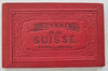 Switzerland Souvenir Album lithographed birds-eye views c. 1890's pictorial book