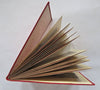 Switzerland Souvenir Album lithographed birds-eye views c. 1890's pictorial book