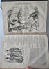 Punch Magazine 1857 U.K. leather pictorial bound periodical wood engravings