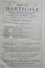 Horticultural Review 1907 Botanical Journal 24 color litho plates flowers fruits