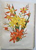 Horticultural Review 1907 Botanical Journal 24 color litho plates flowers fruits