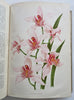 Horticultural Review 1907 Botanical Journal 24 color litho plates flowers fruits