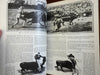 Cosmopolitan Magazine 1926 beautiful cover art period advertising