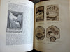 Swiss Alps Club Schweizer-Alpenclub 1910-1920 SAC Yearbook 10 vols illustrated