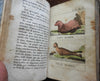 Childhood recreations 1816 Rare Pierre Blanchard 4 books w/ 15 hand color plates