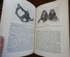 Official New York Zoological Park Guidebook 1911 Hornaday illustrated w/ map